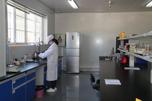 貴州恒力源集團(tuán)刺梨項(xiàng)目獲評為 貴州省綠色工廠